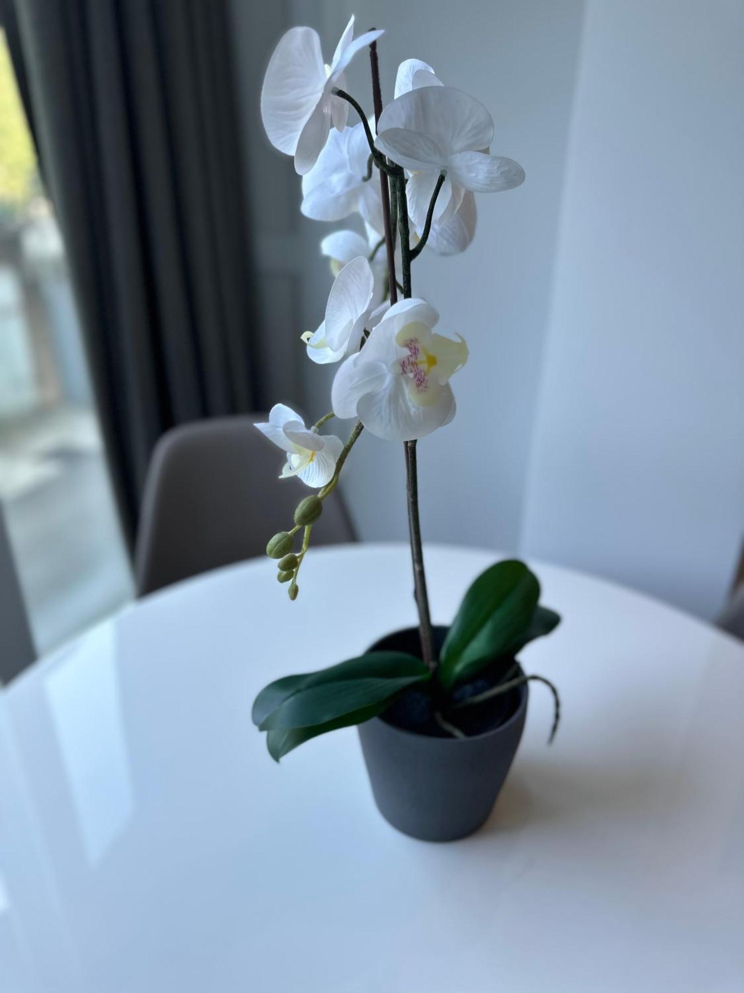N&G New Apartment Stoja Beach 普拉 外观 照片